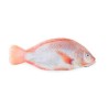Tilapia rot 300-500g